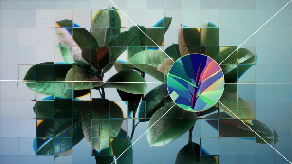 A photographic rendering of a young houseplant against a neutral background, seen through a refractive glass grid and overlaid with an single neuron from a neural network diagram.